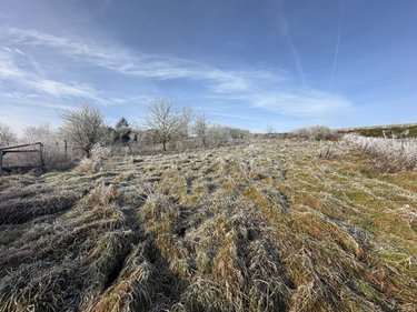 Terrains de loisirs bois etangs a vendre Sézanne 51120 Marne 1695 m2  7000 euros