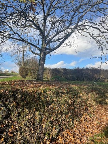 Maison a vendre Contest 53100 Mayenne 90 m2 3 pièces 146300 euros