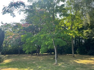 Maison a vendre Mayenne 53100 Mayenne 254 m2 6 pièces 360186 euros