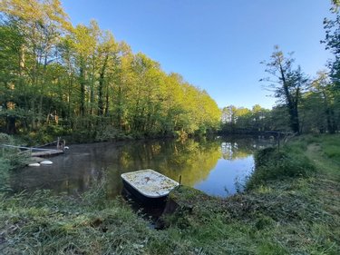 Terrains de loisirs bois etangs a vendre Craon 53400 Mayenne 34400 m2  115160 euros