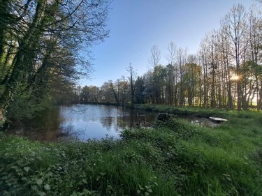 Terrains de loisirs bois etangs a vendre Craon 53400 Mayenne 34400 m2  115160 euros