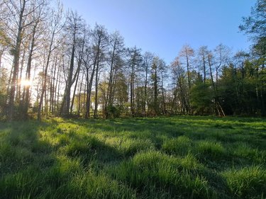 Terrains de loisirs bois etangs a vendre Craon 53400 Mayenne 34400 m2  115160 euros