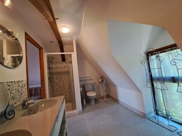 propriete a vendre Livré la Touche 53400 Mayenne 320 m2 11 pièces 363800 euros