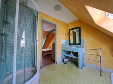 propriete a vendre Livré la Touche 53400 Mayenne 320 m2 11 pièces 363800 euros