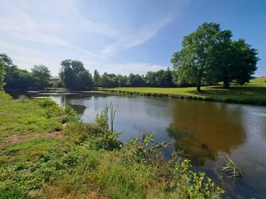 Terrains de loisirs bois etangs a vendre Bouchamps-lès-Craon 53800 Mayenne 25000 m2  73720 euros