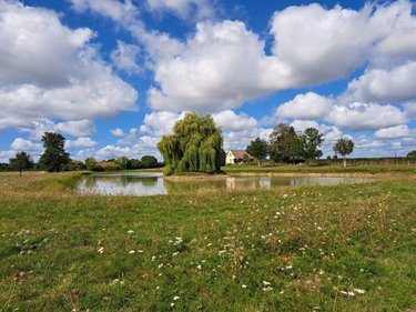 Maison a vendre Ballots 53350 Mayenne 135 m2 7 pièces 249840 euros