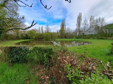 Terrains de loisirs bois etangs a vendre Prée d'Anjou 53200 Mayenne 12100 m2  63360 euros