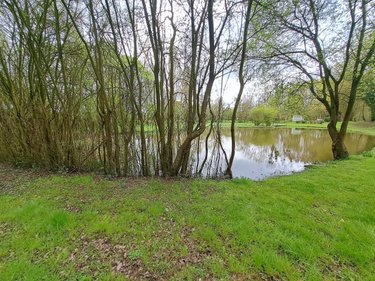 Terrains de loisirs bois etangs a vendre Prée d'Anjou 53200 Mayenne 12100 m2  63360 euros