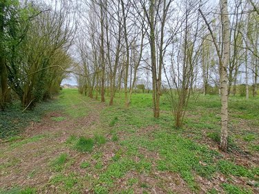 Terrains de loisirs bois etangs a vendre Prée d'Anjou 53200 Mayenne 12100 m2  63360 euros