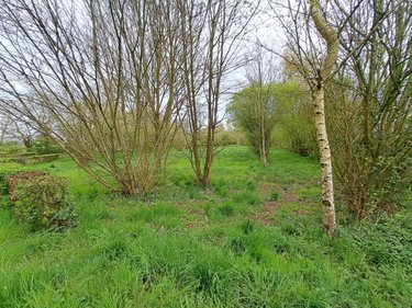 Terrains de loisirs bois etangs a vendre Prée d'Anjou 53200 Mayenne 12100 m2  63360 euros