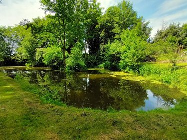Maison a vendre Pommerieux 53400 Mayenne 139 m2 7 pièces 229120 euros