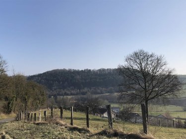 Maison a vendre Saint-Remy-la-Calonne 55160 Meuse 270 m2 10 pièces 315000 euros