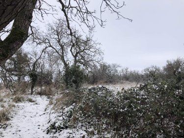 Maison a vendre Woël 55210 Meuse 110 m2 4 pièces 86000 euros