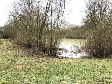 Maison a vendre Harville 55160 Meuse 273 m2 8 pièces 367500 euros