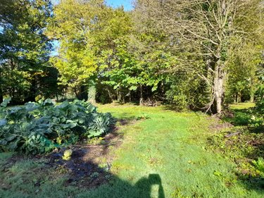Terrain a batir a vendre Les Brulais 35330 Ille-et-Vilaine 1385 m2  36500 euros