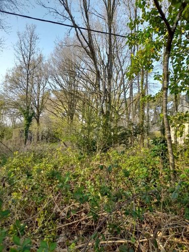 Terrain a batir a vendre La Gacilly 56200 Morbihan 1182 m2  44370 euros