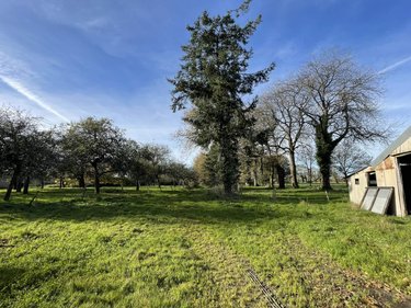 Maison a vendre Pluherlin 56220 Morbihan 114 m2 4 pièces 252600 euros