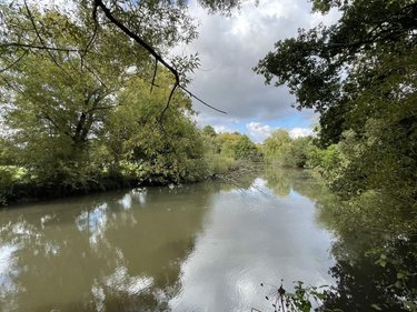Terrains de loisirs bois etangs a vendre Carentoir 56910 Morbihan 4900 m2  42400 euros