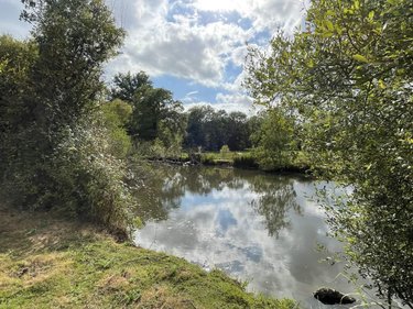Terrains de loisirs bois etangs a vendre Carentoir 56910 Morbihan 4900 m2  42400 euros