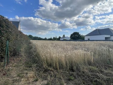 Terrain a batir a vendre Peillac 56220 Morbihan 1220 m2  32400 euros