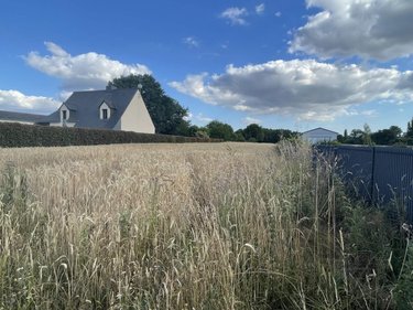 Terrain a batir a vendre Peillac 56220 Morbihan 1220 m2  32400 euros