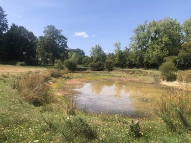 Terrains de loisirs bois etangs a vendre Val d'Anast 35330 Ille-et-Vilaine 8420 m2  14400 euros