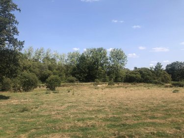 Terrains de loisirs bois etangs a vendre Val d'Anast 35330 Ille-et-Vilaine 8420 m2  14400 euros