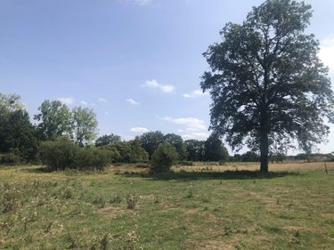 Terrains de loisirs bois etangs a vendre Val d'Anast 35330 Ille-et-Vilaine 8420 m2  14400 euros