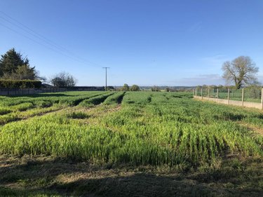 Terrain a batir a vendre Peillac 56220 Morbihan 1500 m2  47700 euros