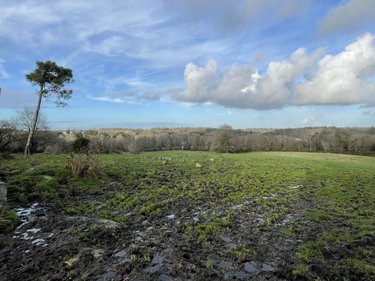 Bien agricole a vendre Malansac 56220 Morbihan 2000 m2  210000 euros