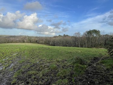 Bien agricole a vendre Malansac 56220 Morbihan 2000 m2  210000 euros