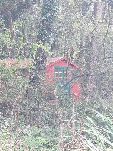 Terrains de loisirs bois etangs a vendre Guilliers 56490 Morbihan 14300 m2  27000 euros