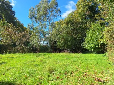 Maison a vendre Évriguet 56490 Morbihan 61 m2 2 pièces 54450 euros