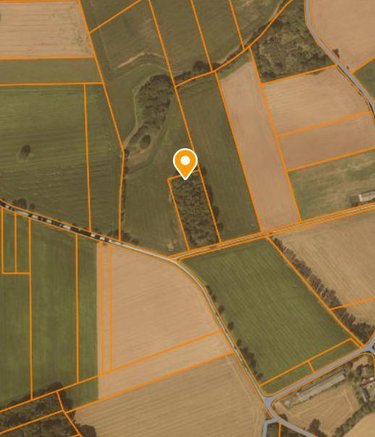 Terrains de loisirs bois etangs a vendre Loyat 56800 Morbihan 6961 m2  3950 euros