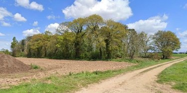 Terrains de loisirs bois etangs a vendre Loyat 56800 Morbihan 6961 m2  3950 euros