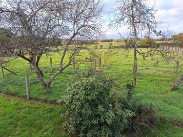Maison a vendre Mauron 56430 Morbihan 110 m2 7 pièces 162350 euros