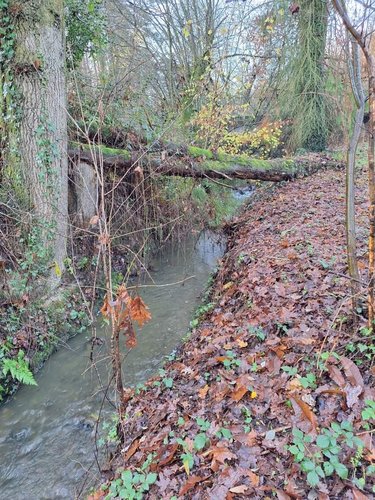Maison a vendre Guilliers 56490 Morbihan 238 m2 6 pièces 232736 euros