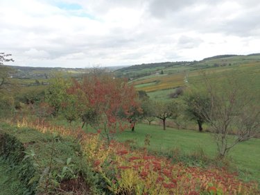 Viager maison Moroges 71390 Saône-et-Loire 118 m2 9 pièces 100000 euros