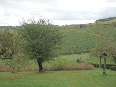 Viager maison Moroges 71390 Saône-et-Loire 118 m2 9 pièces 100000 euros