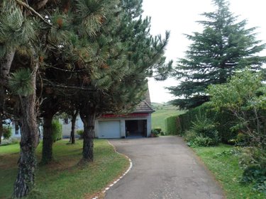 Viager maison Moroges 71390 Saône-et-Loire 118 m2 9 pièces 100000 euros