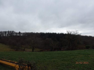 Maison a vendre La Tagnière 71190 Saône-et-Loire  20000 euros