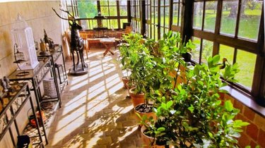 propriete a vendre Saint-Jean-sur-Reyssouze 01560 Ain 350 m2 11 pièces 3500000 euros