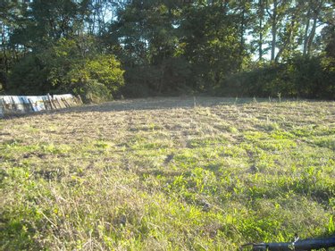 Fonds et murs commerciaux a vendre Luceau 72500 Sarthe 435 m2  189000 euros
