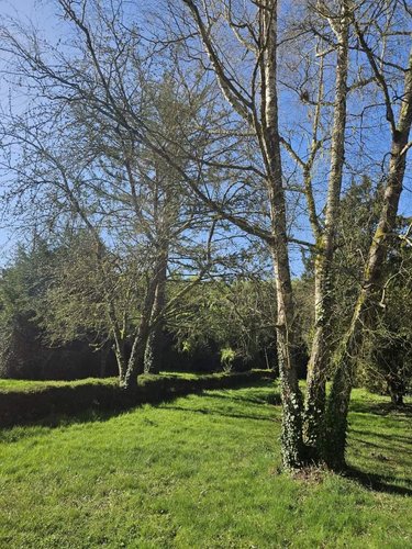 Maison a vendre Chahaignes 72340 Sarthe 67 m2 5 pièces 80250 euros