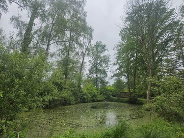 Terrains de loisirs bois etangs a vendre Vaas 72500 Sarthe 2228 m2  14000 euros