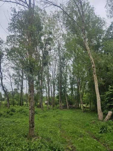 Terrains de loisirs bois etangs a vendre Vaas 72500 Sarthe 2228 m2  14000 euros