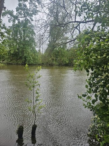 Terrains de loisirs bois etangs a vendre Vaas 72500 Sarthe 2228 m2  14000 euros