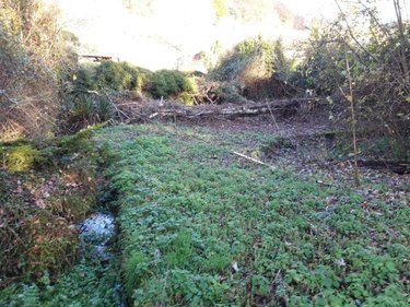 Maison a vendre Bellencombre 76680 Seine-Maritime 135 m2 6 pièces 135000 euros