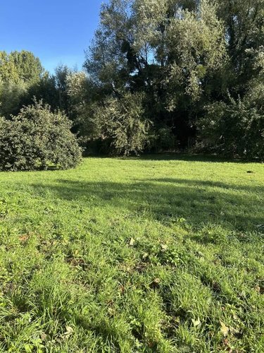 Maison a vendre Saint-Saëns 76680 Seine-Maritime 83 m2 5 pièces 177300 euros