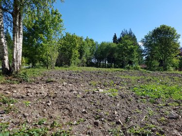 Terrain a batir a vendre Machy 80150 Somme 2230 m2  52500 euros